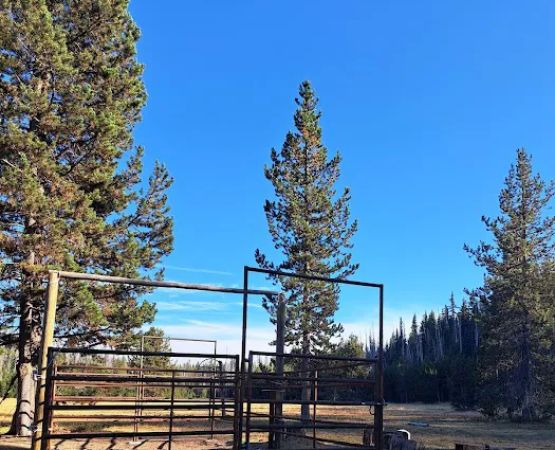 Quinn Meadow Horse Camp