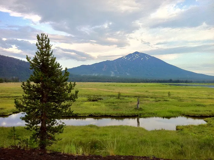 Quinn Meadow Horse Camp 5
