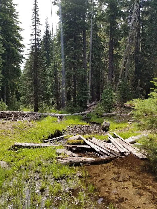 Quinn Meadow Horse Camp 1