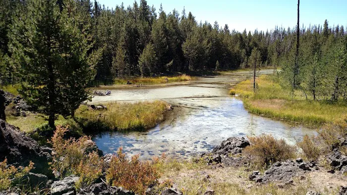 Quinn Meadow Horse Camp 2