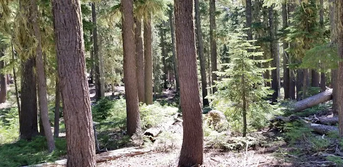 Quinn Meadow Horse Camp 3