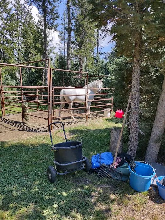 Quinn Meadow Horse Camp 8