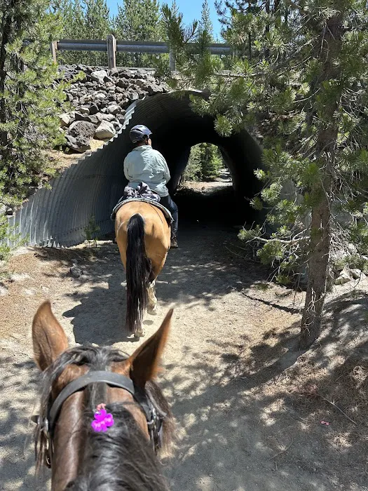 Quinn Meadow Horse Camp 9