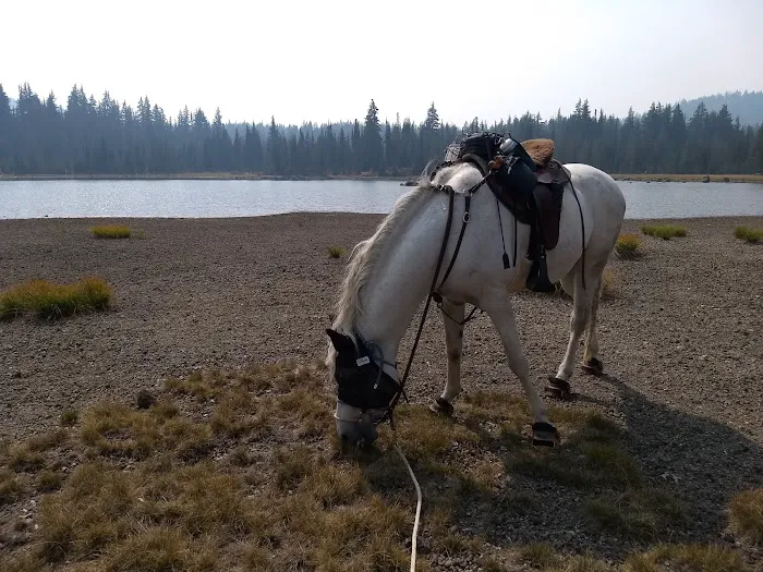 Quinn Meadow Horse Camp 7