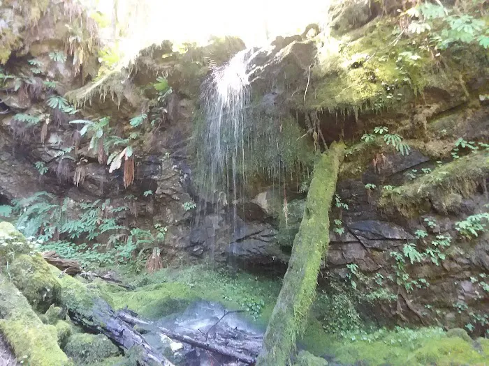 Hobo Camp Campground 1