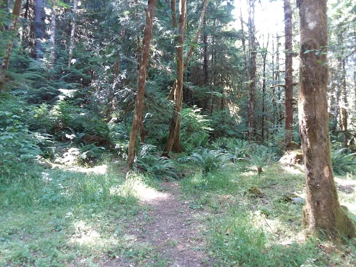 Hobo Camp Campground 5