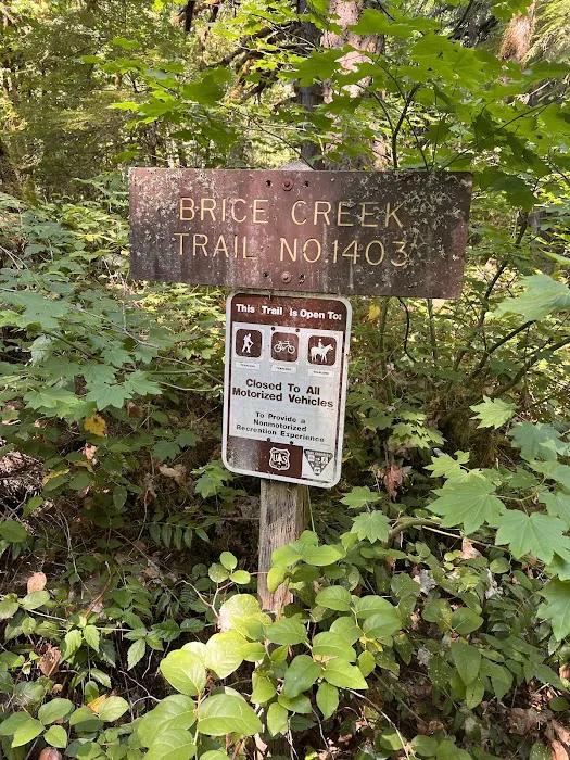 Lund Park Campground 7