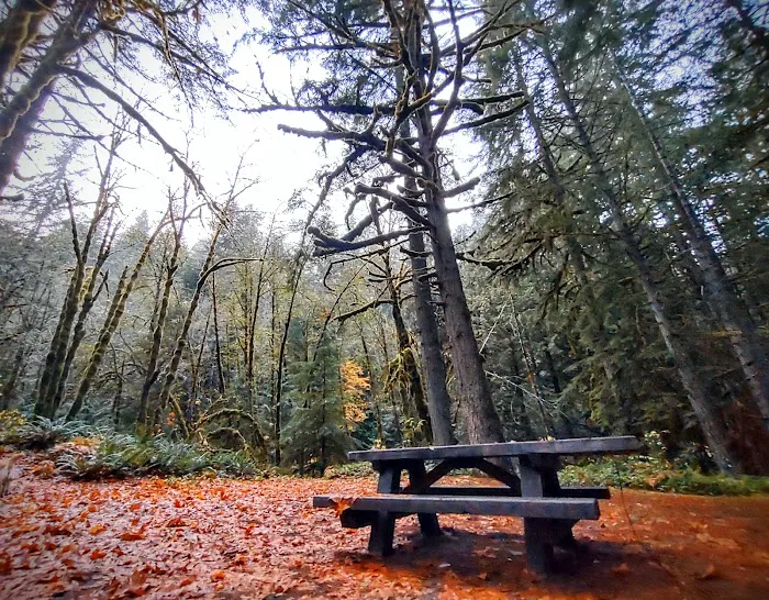 Lund Park Campground 2