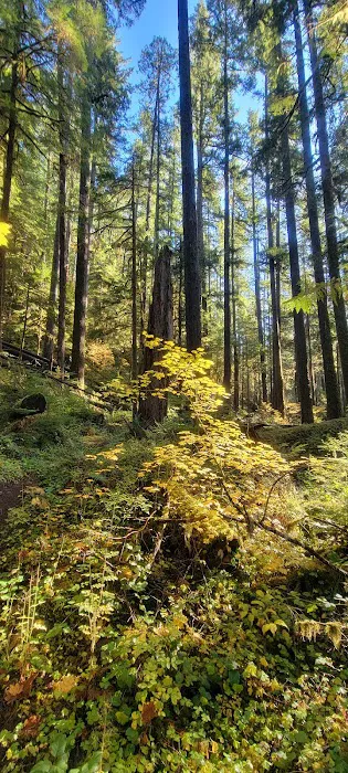 Lund Park Campground 1