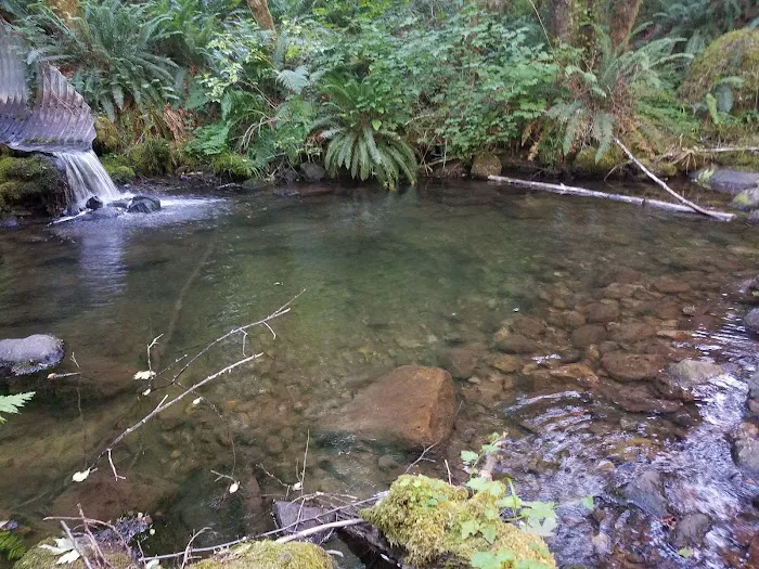 Lund Park Campground 9