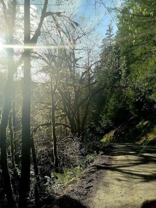 Mineral Camp Campground 4