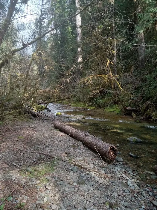 Mineral Camp Campground 5