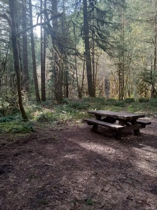 Mineral Camp Campground 8