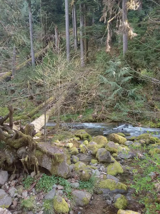 Mineral Camp Campground 9