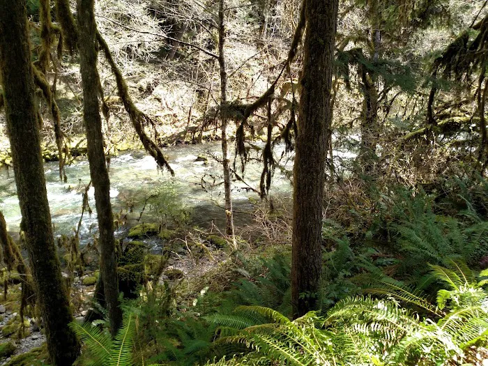 Cedar Creek Campground 0