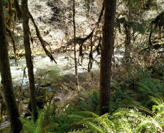 Cedar Creek Campground
