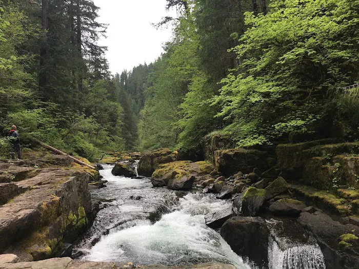 Cedar Creek Campground 2