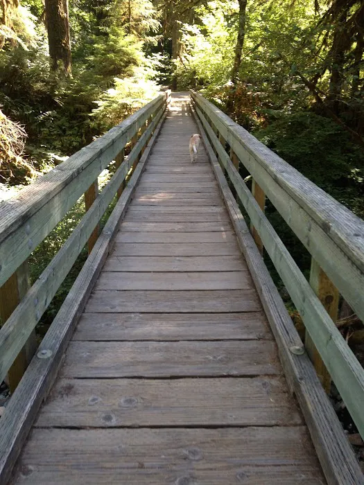Cedar Creek Campground 9