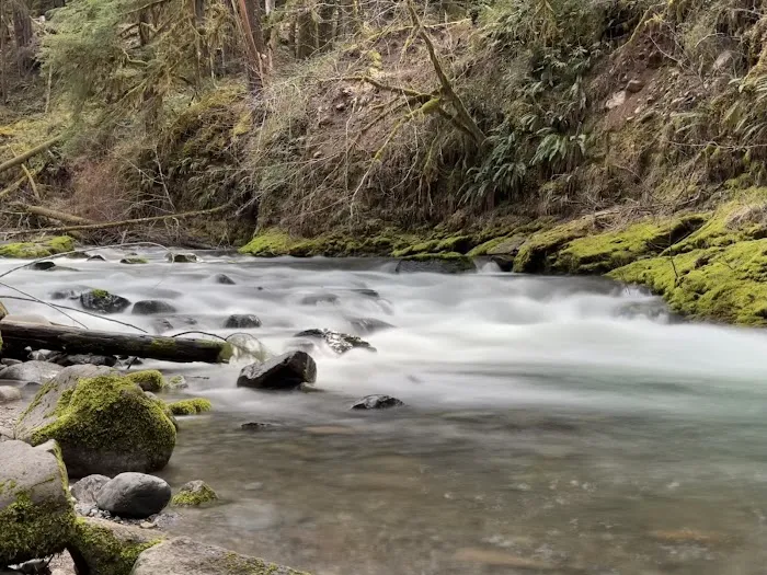Cedar Creek Campground 8