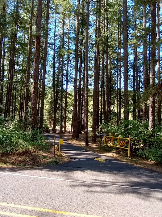 Sharps Creek Recreation Site 0
