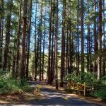 Sharps Creek Recreation Site