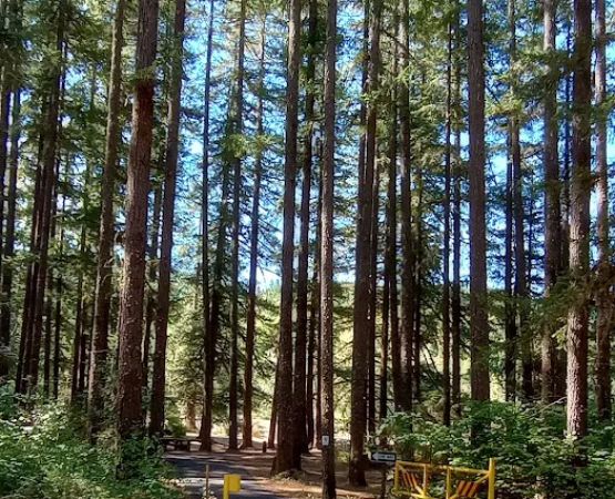 Sharps Creek Recreation Site