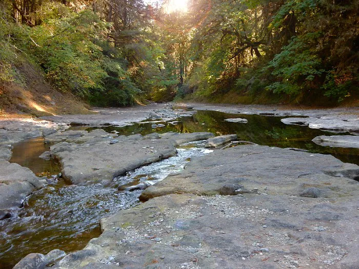 Sharps Creek Recreation Site 1