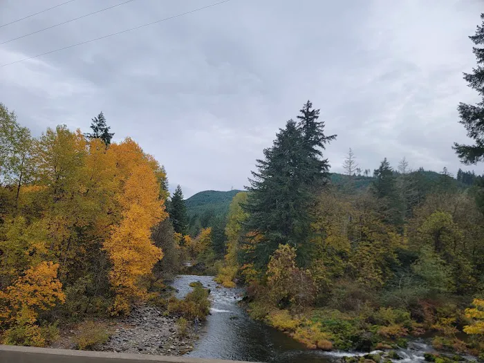 Sharps Creek Recreation Site 2