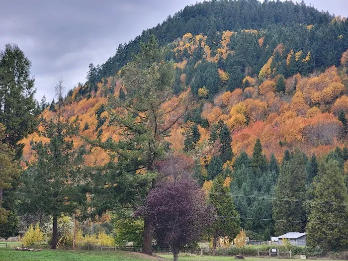 Sharps Creek Recreation Site 5
