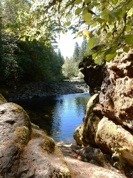 Sharps Creek Recreation Site 4