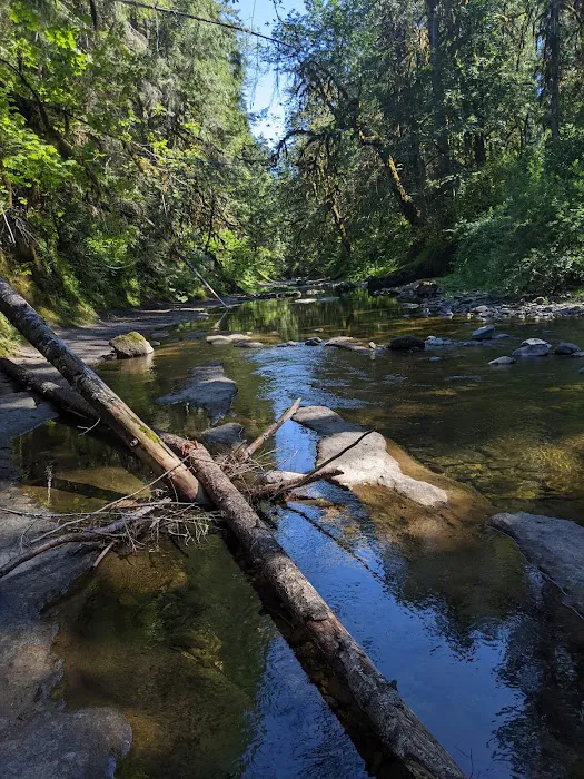 Sharps Creek Recreation Site 7