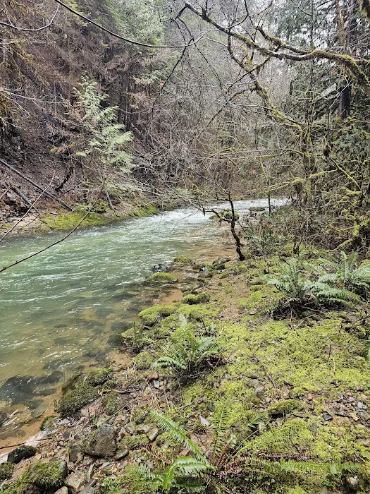 Sharps Creek Recreation Site 9