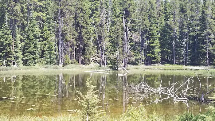 Summit Lake Campground 5