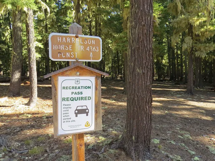 Harralson Horse Camp 6