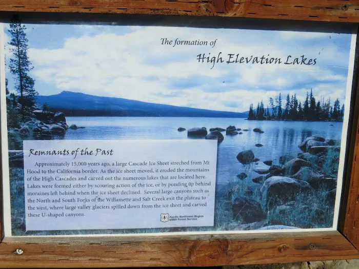 Harralson Horse Camp 8