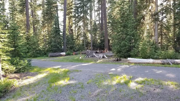 Waldo Lake Shadow Bay Willamette NF 9