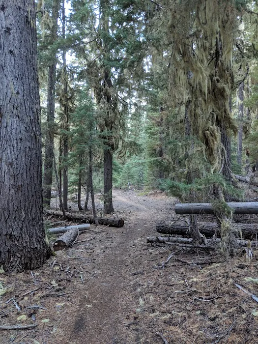 Mount Ray Trailhead 1