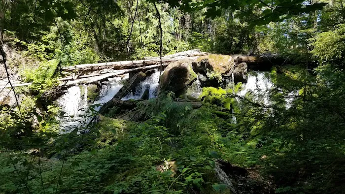 Skookum Creek Campground 0
