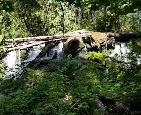 Skookum Creek Campground