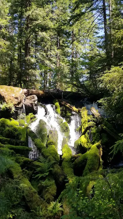 Skookum Creek Campground 5