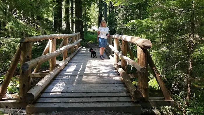 Skookum Creek Campground 6