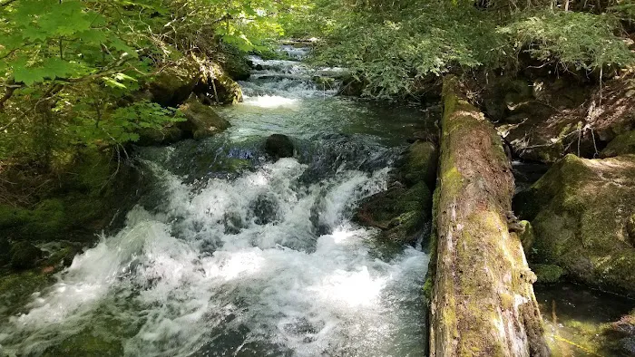 Skookum Creek Campground 9