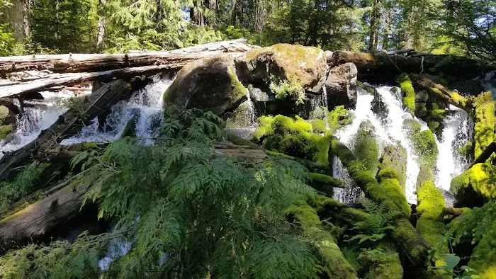 Skookum Creek Campground 8