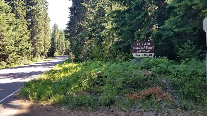 Skookum Creek Campground 7