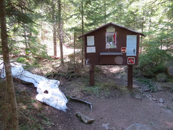 Skookum Creek Campground 4