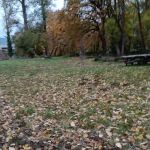 Elk Island Trading Group, LLC