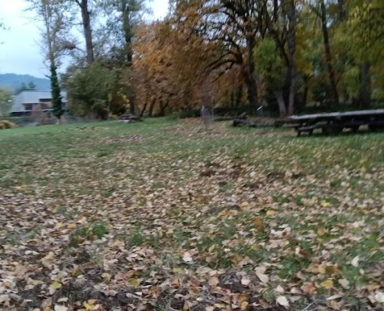 Elk Island Trading Group, LLC