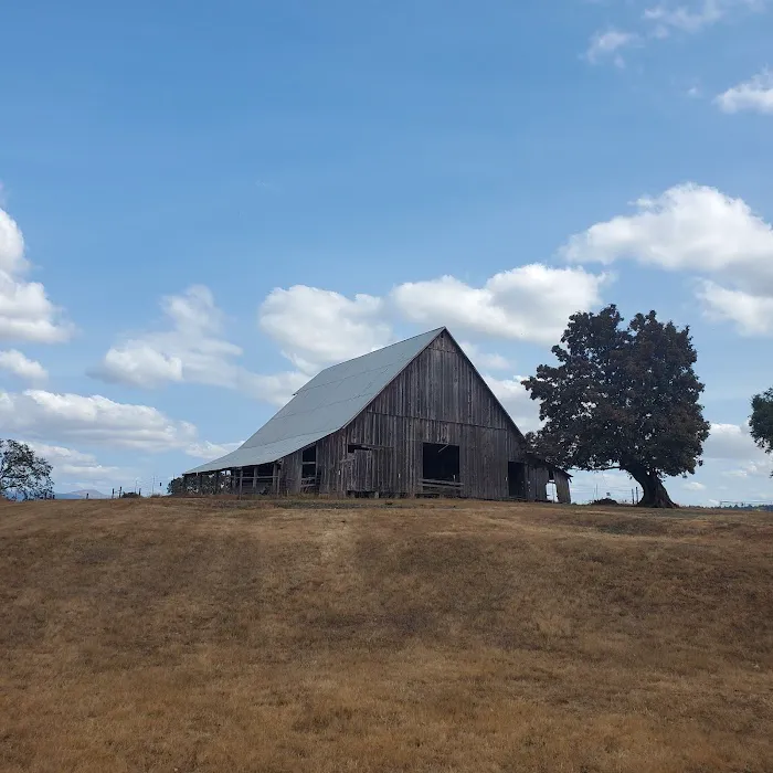 Mildred Kanipe Memorial Park Campground 3
