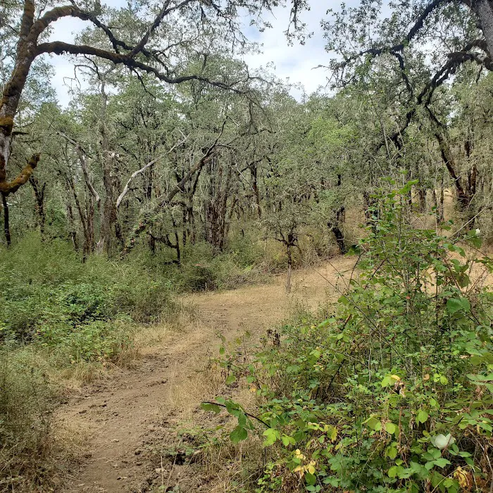 Mildred Kanipe Memorial Park Campground 9