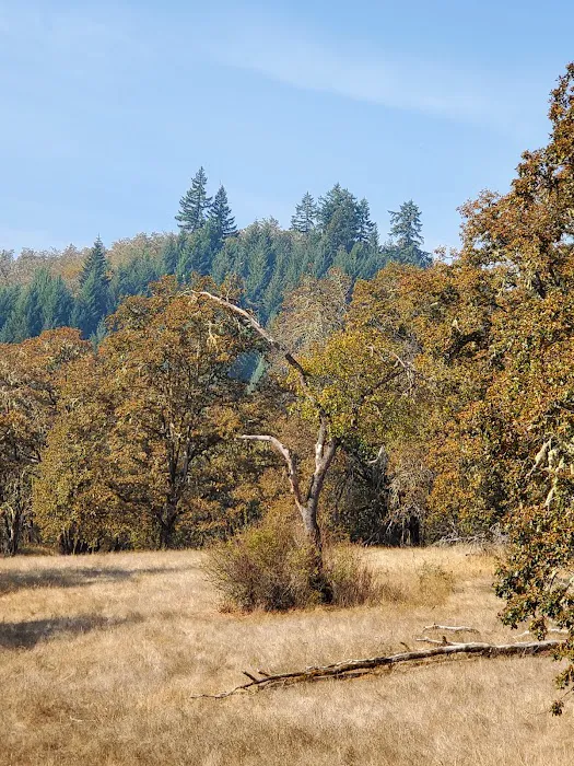 Mildred Kanipe Memorial Park Campground 7